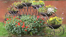 Парковые кованые цветочницы с одним или несколькими горшками. От 60 000 ₽ за шт.